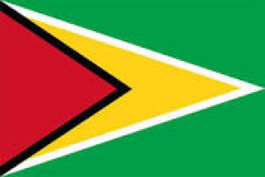 guyana-flag-1664634116.jpg