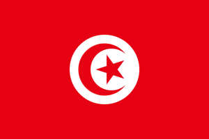 tunisia-flag-1664532357.png